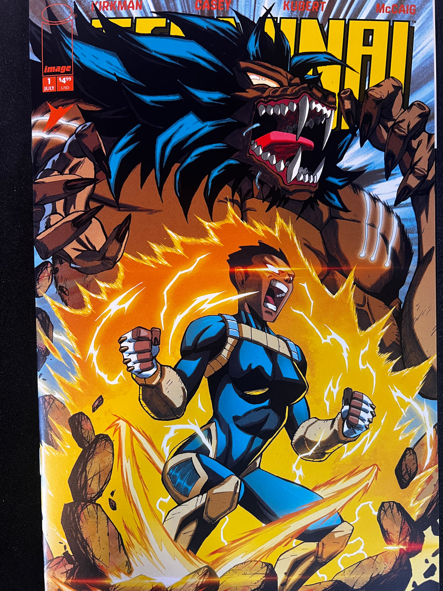 Terminal #1 front cover